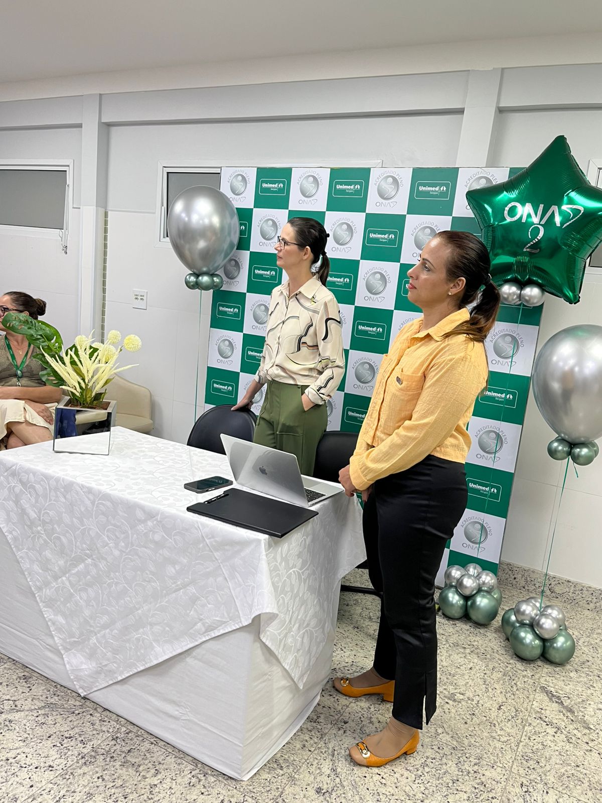 Janaina conduzindo formação em Acreditação ONA, registro 8 de 14